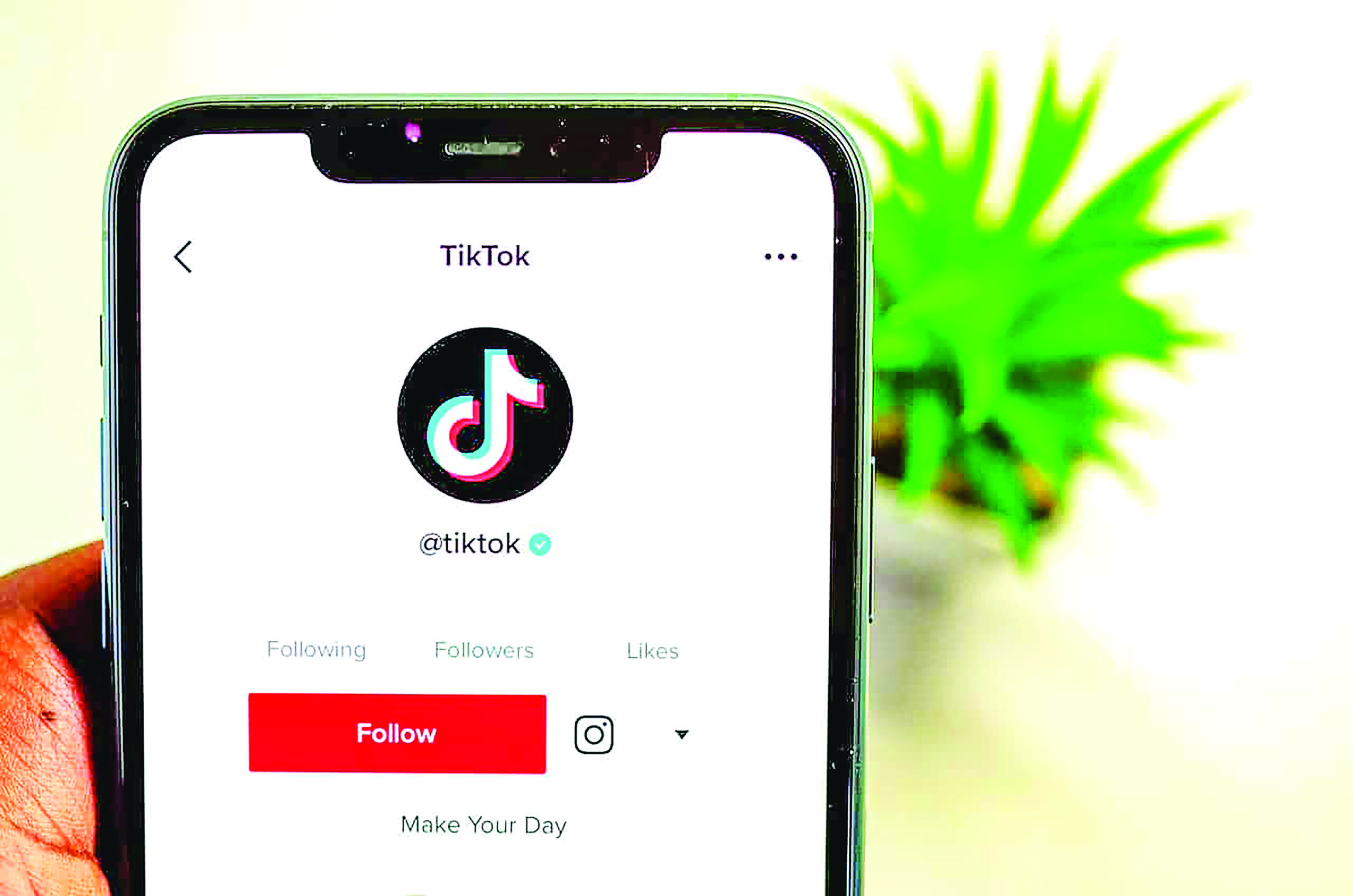 Cómo ver TikTok de forma anónima