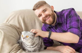 Microchip de identificación para perros y gatos