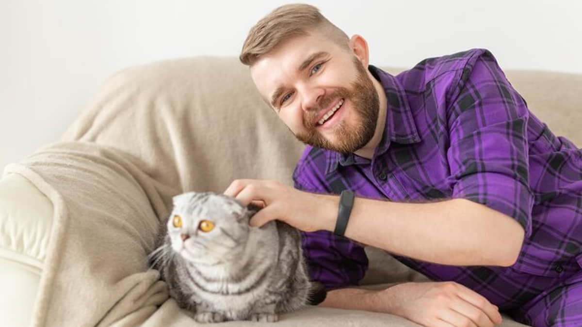 Microchip de identificación para perros y gatos