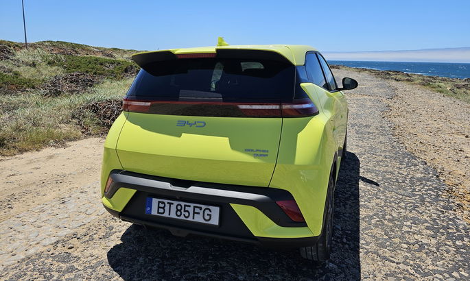 Surf de Dolphin Byd