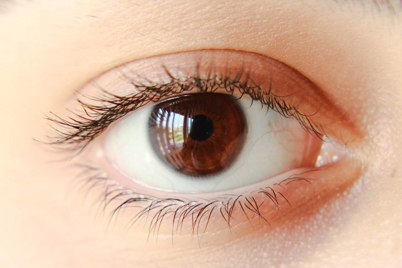 lentes