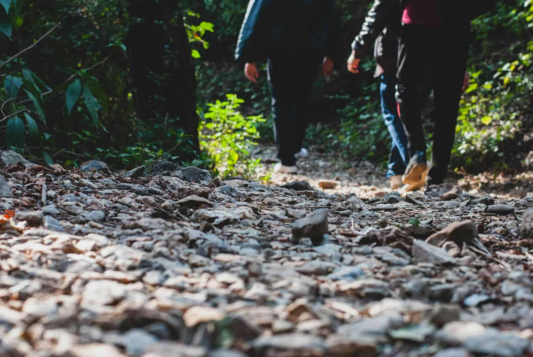 ¿Caminar todos los días es realmente importante para la salud?