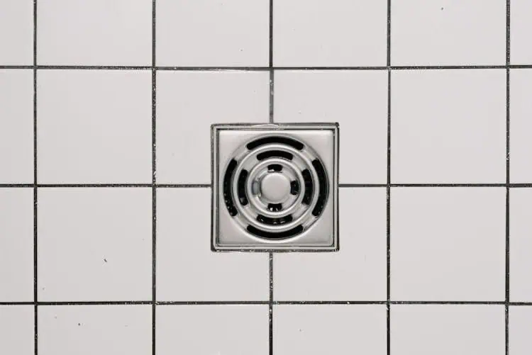 ¡Estos insectos entran en los desagües de la cocina y el baño!