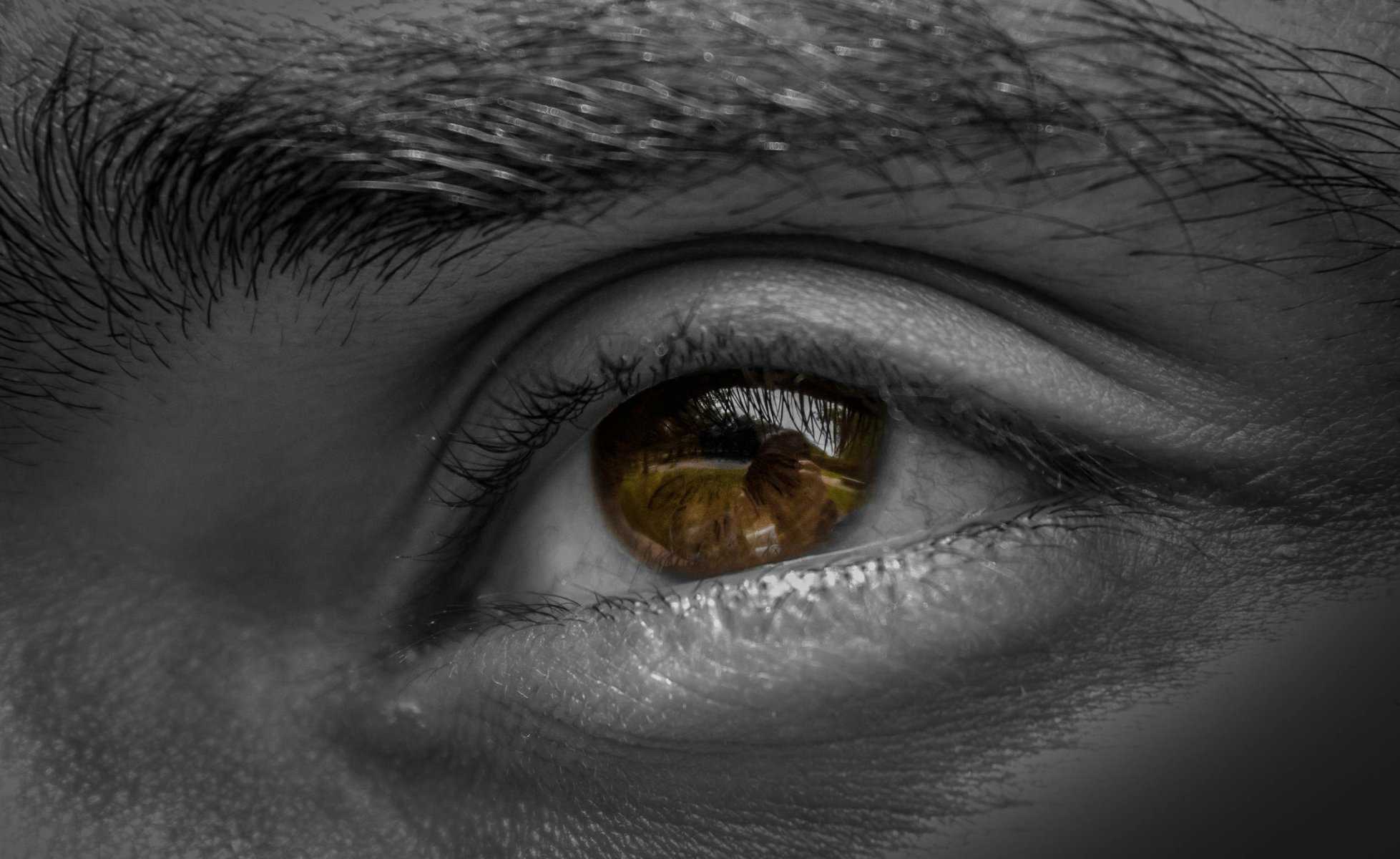 Movimiento ocular, este cambio en el movimiento ocular puede indicar el Alzheimer