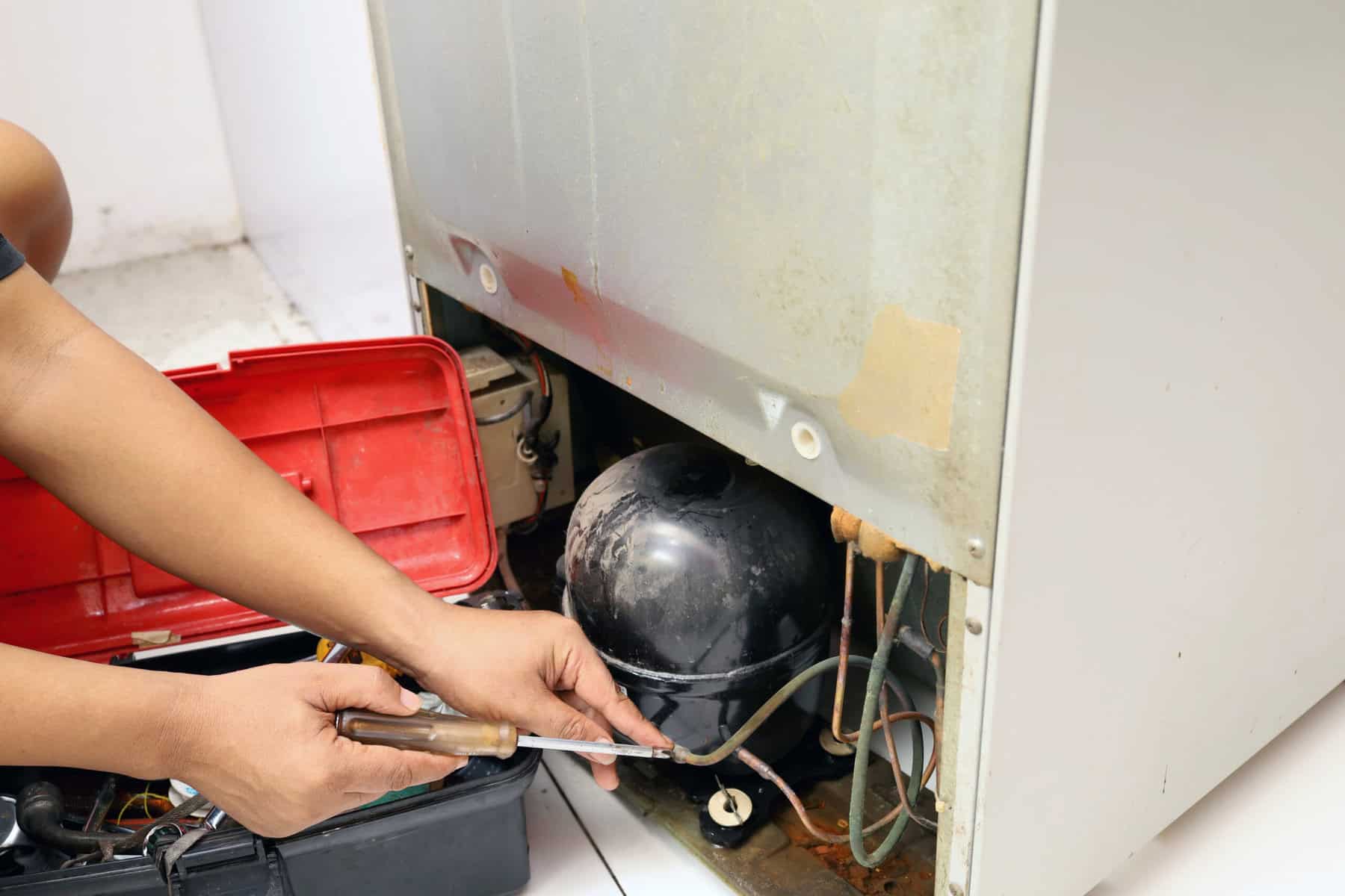 Porque nunca debes apagar el refrigerador de la salida durante horas