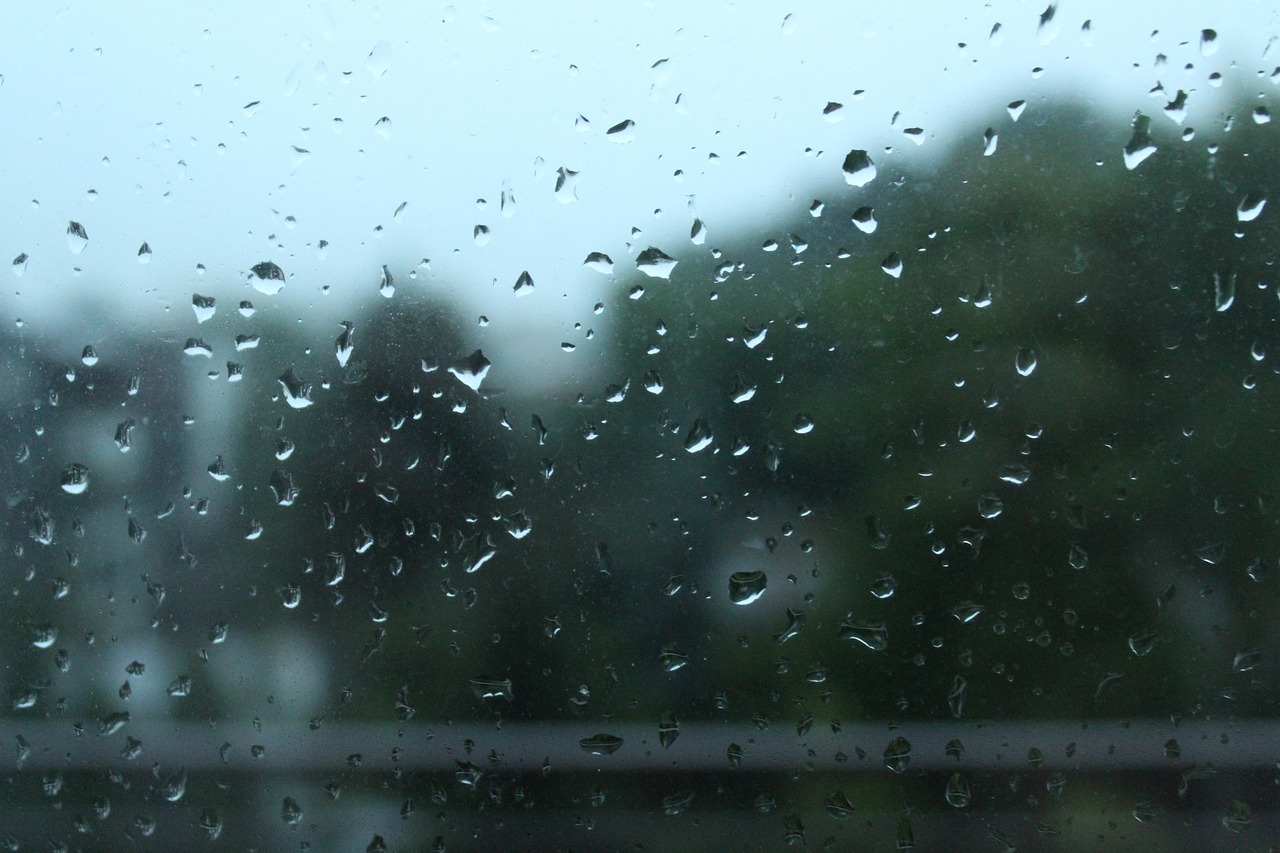 Lluvia llamó
