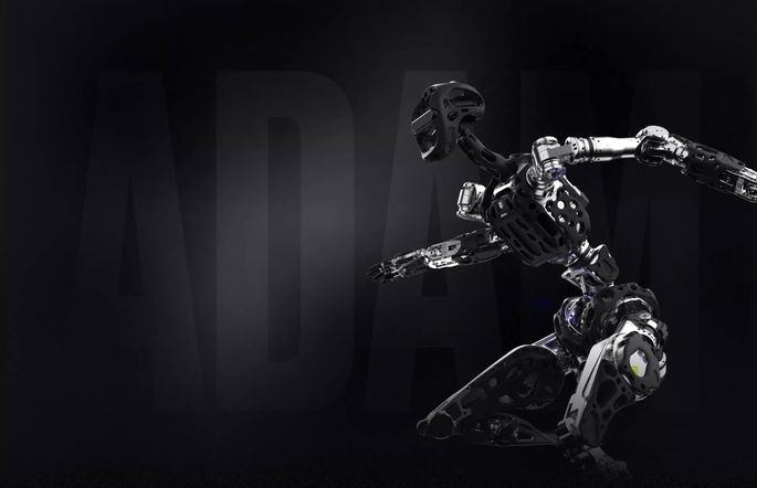 Robot de adam