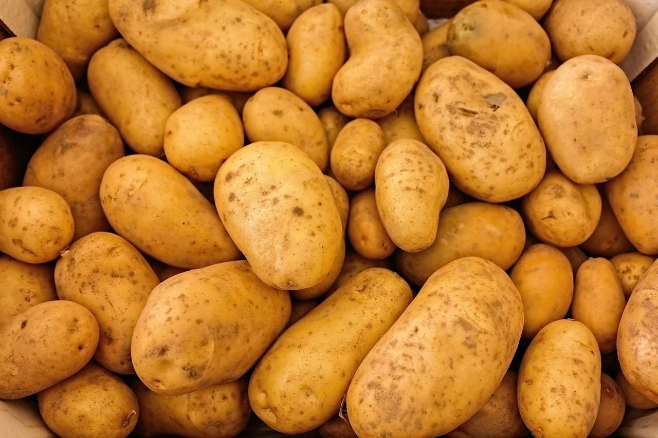 frotar papas en el coche