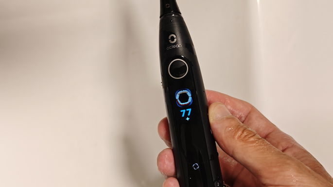 Oclea