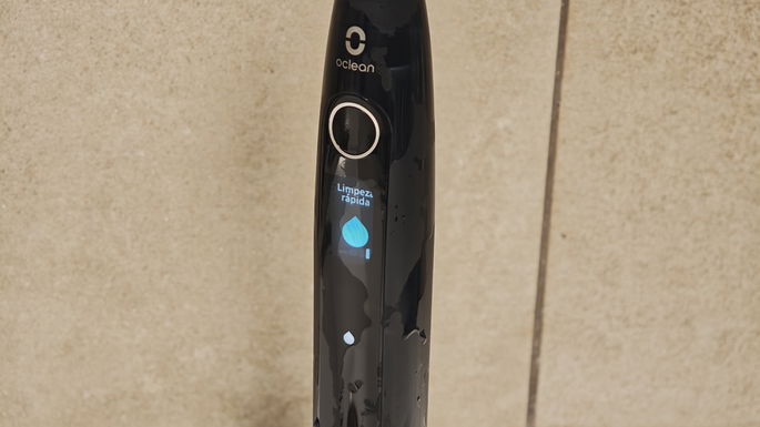 Oclea