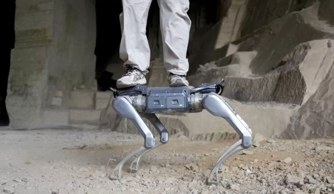 Roboodog Unitoe