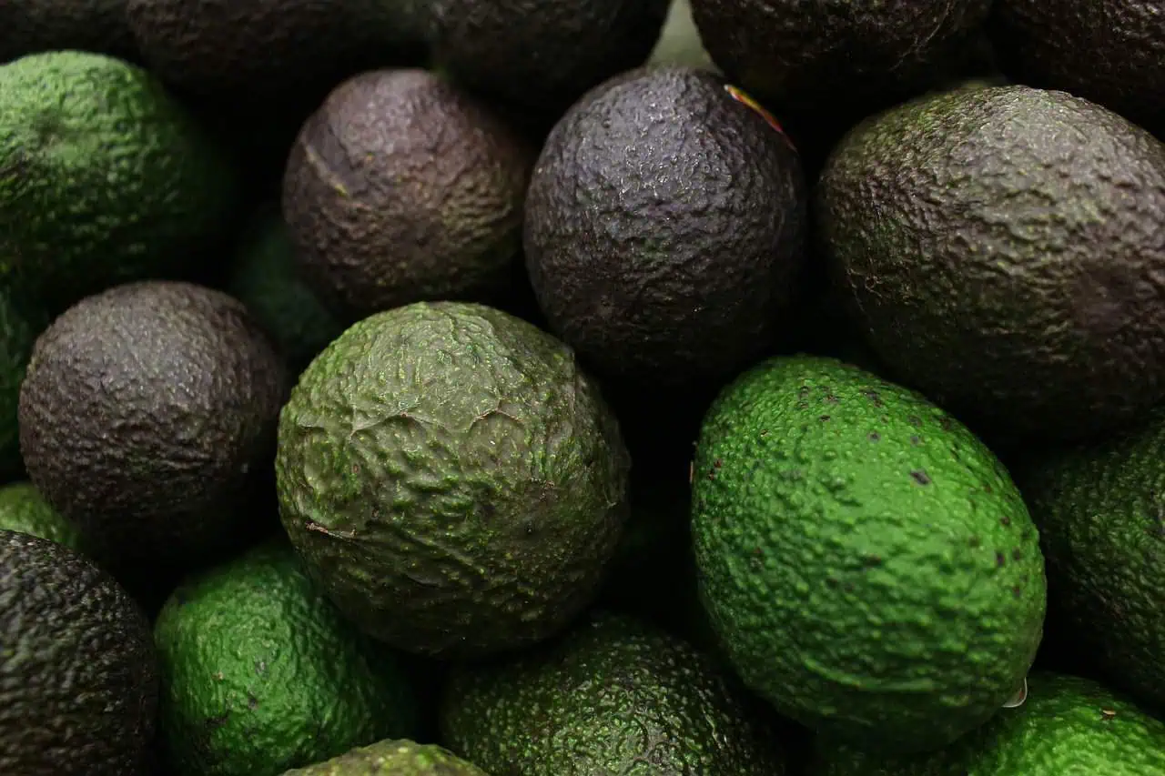 ¡Comer esta fruta está provocando muchas lesiones! ¿Sabes por qué?