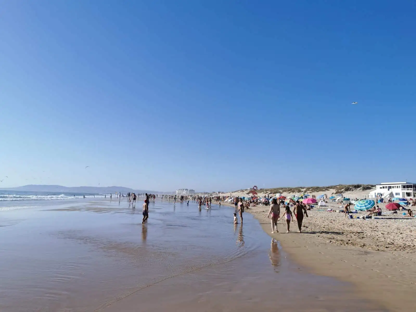 ¡Ir a la playa puede arruinar su billetera con estas multas ocultas!