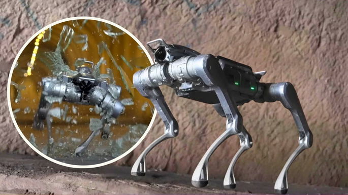 Roboodog Unitoe
