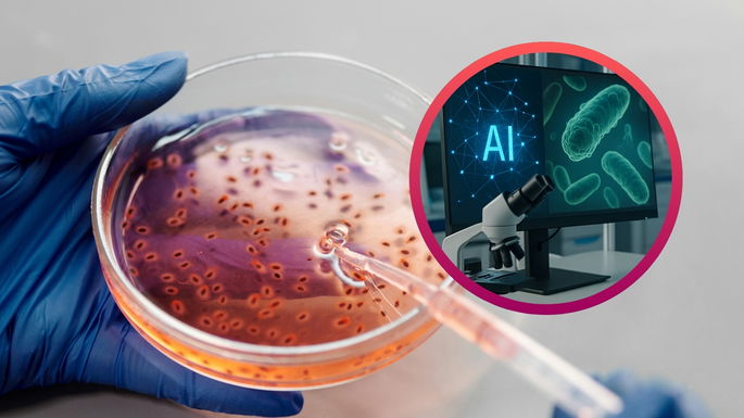 Estaba creando virus que eliminan las bacterias por primera vez.