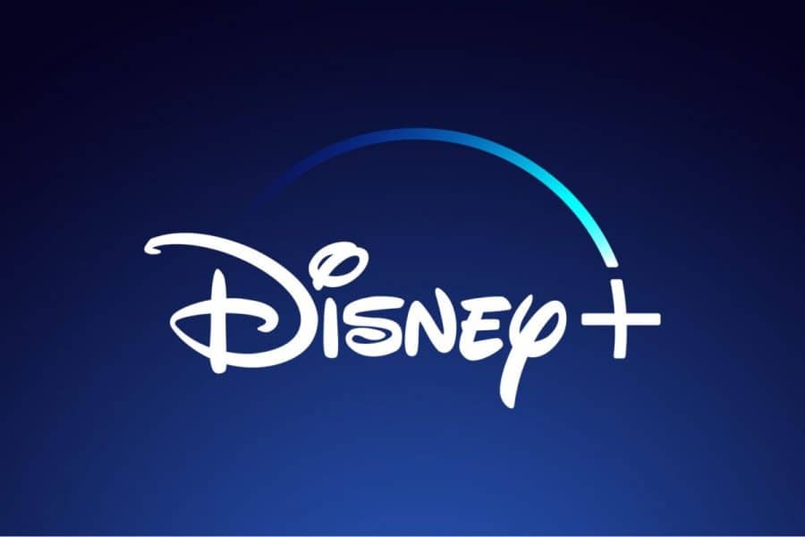 Disney+ canales en vivo, Disney+ unido a Netflix