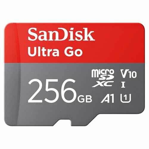 SanDisk Ultra Go 256GB