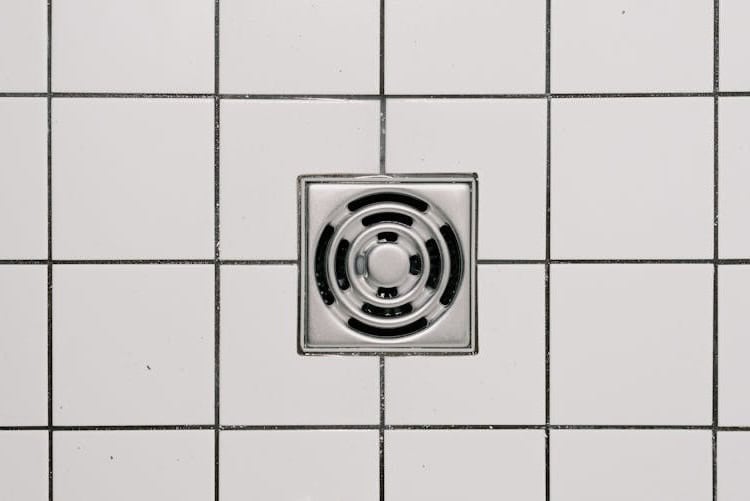 ¡Estos insectos entran por los desagües de la cocina y el baño!