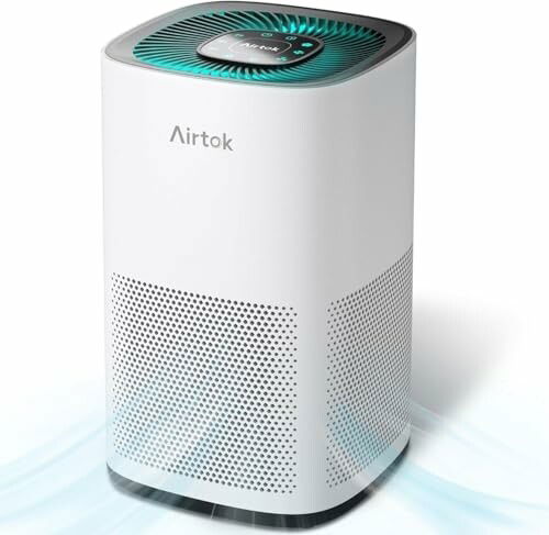 Purificador de aire AIRTOK AP1001