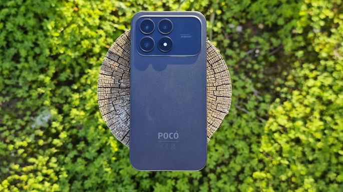 Fosa