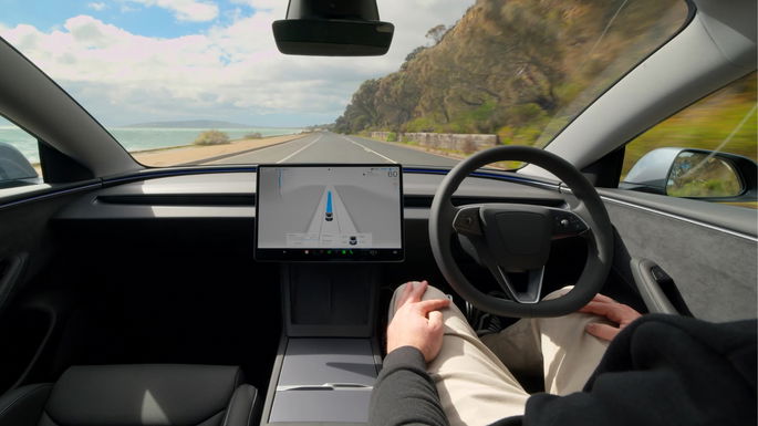 ¿Aprendiste a nadar? Video muestra a Tesla intentando meterse en un lago