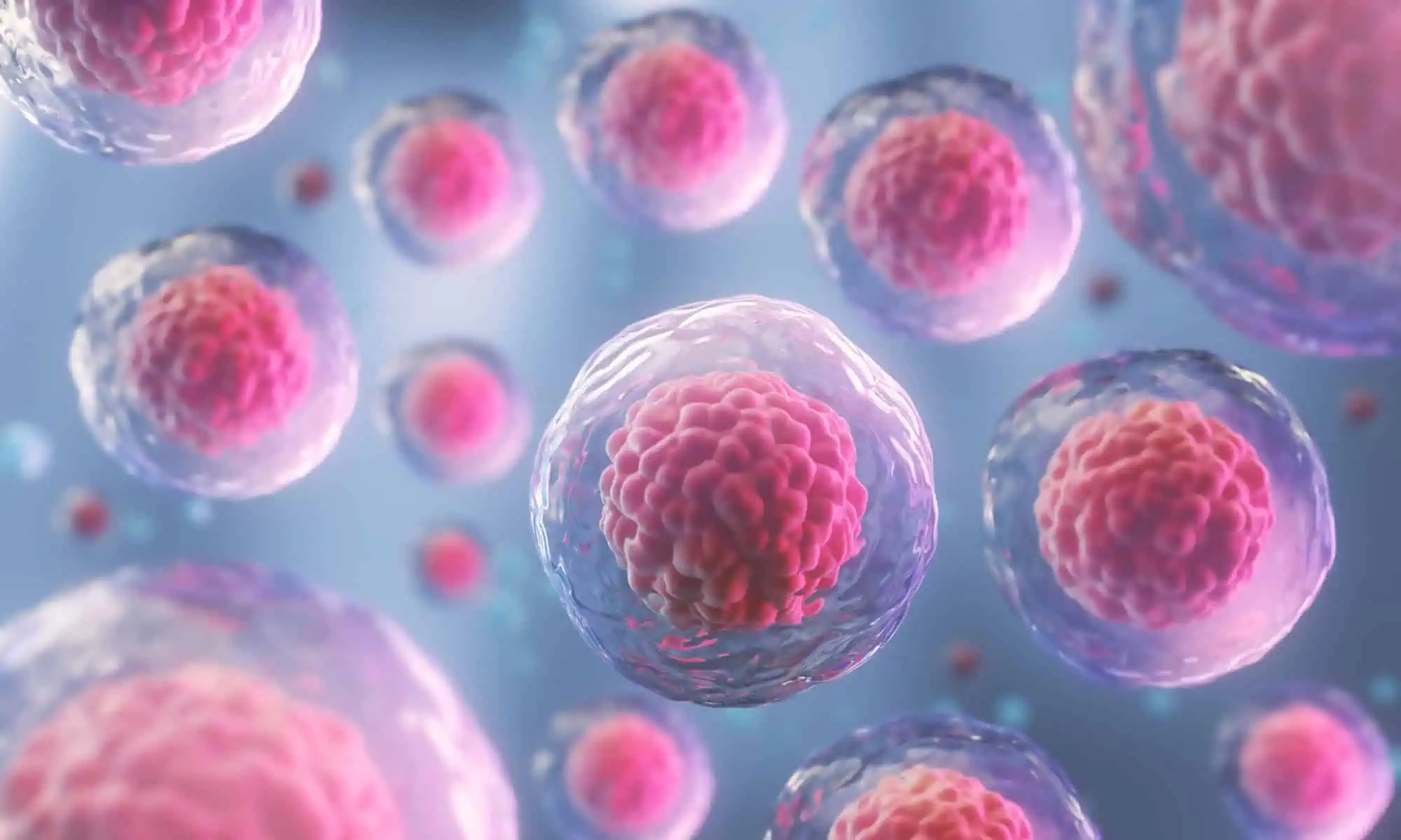 Células cancerosas, ¡las posibilidades de padecer cáncer se definen antes de nacer!