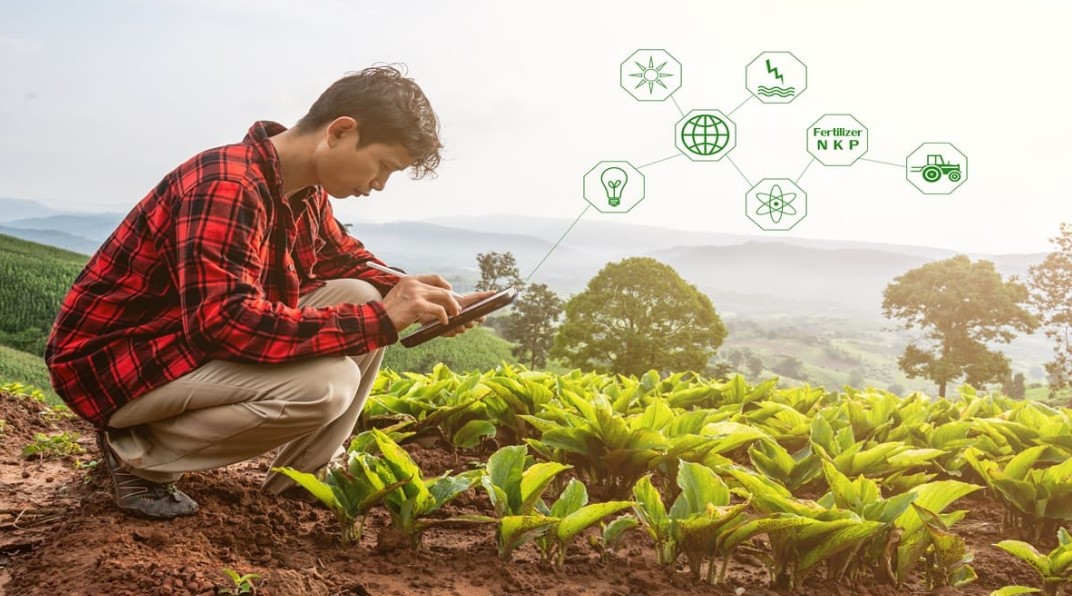 Transformación digital en el sector agrícola: Innovación y sostenibilidad
