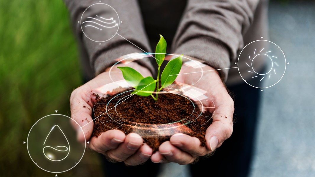 Transformación digital en el sector agrícola: Innovación y sostenibilidad