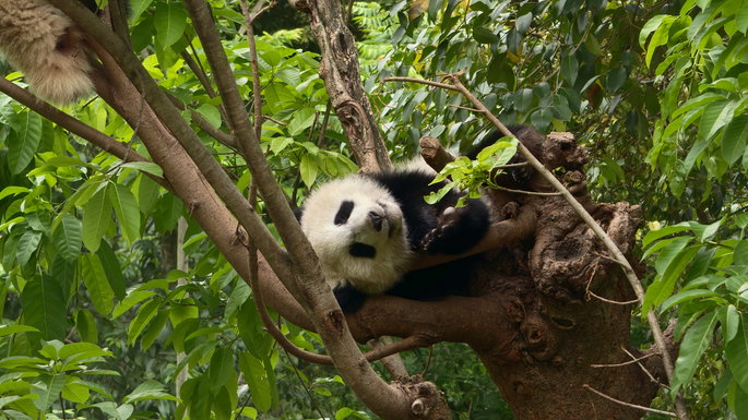 Capturado con el OPPO Find X9 Ultra