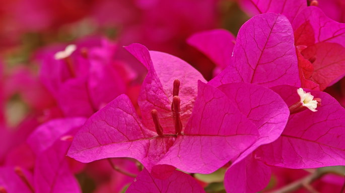 Capturado con el OPPO Find X9 Ultra