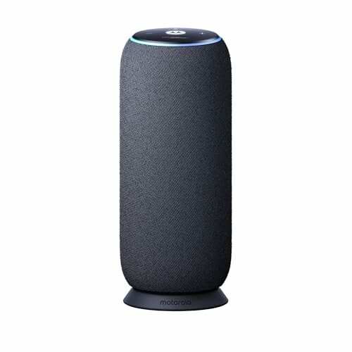 Moto Sonido Flujo Pantone Carbono