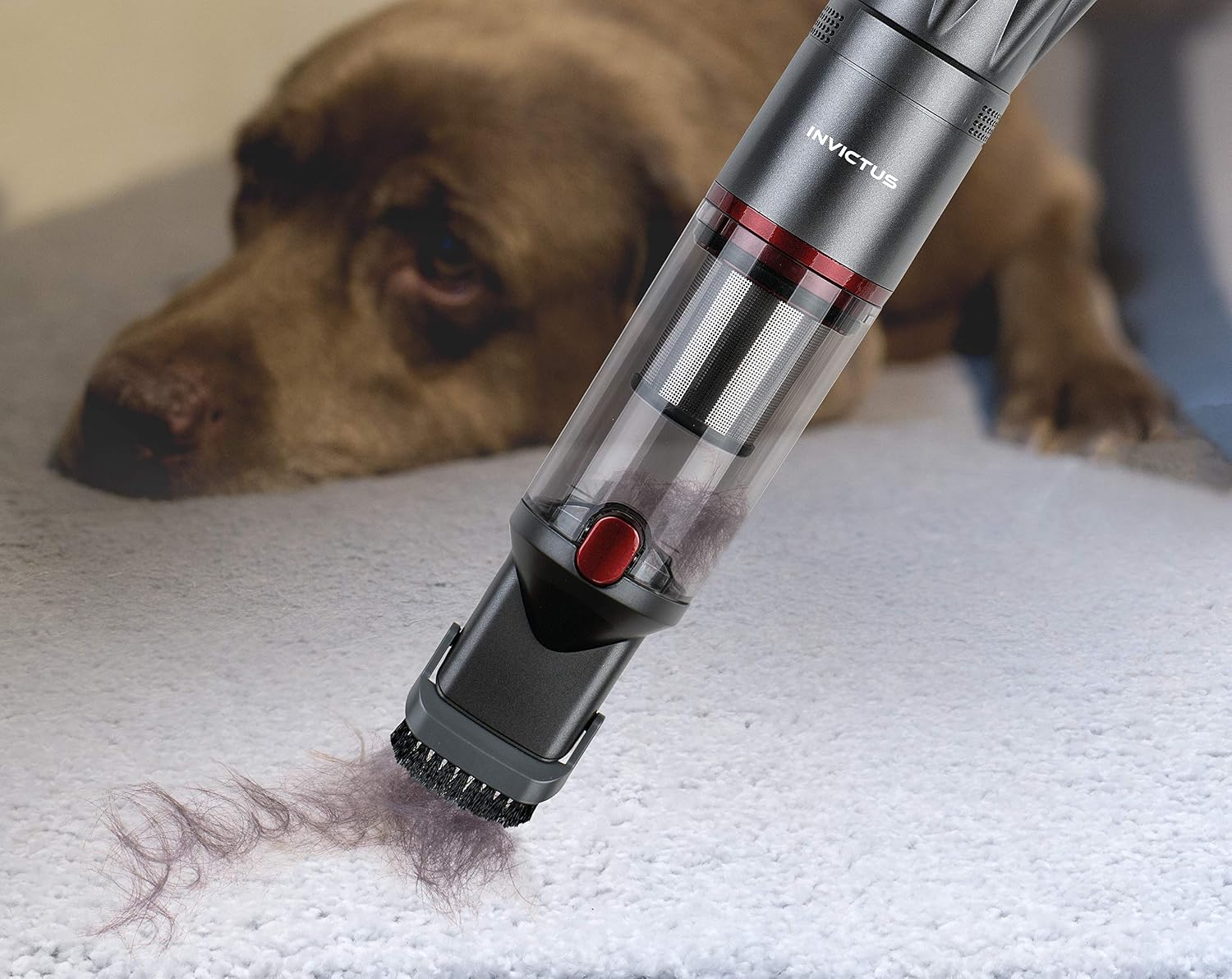 Genius A28178 – Handheld Vacuum Cleaner (PP, Stainless Steel, Anthracite) - Imagen 4