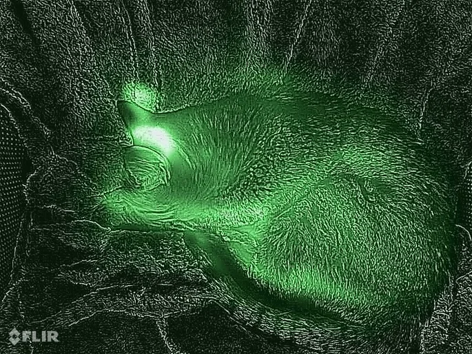 Cámara térmica FLIR