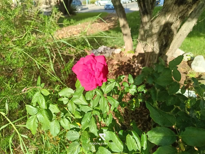 Sensor principal Ulefone RugOne Xever 7 Pro