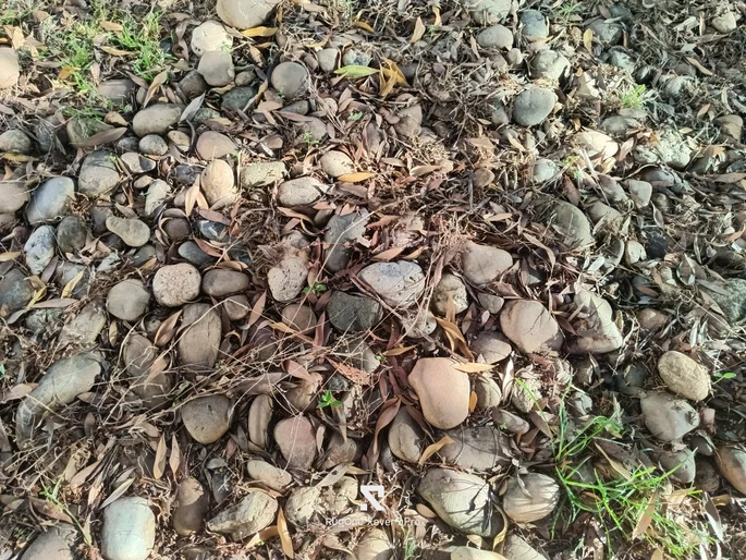 Cámara Ulefone RugOne Xever 7 Pro