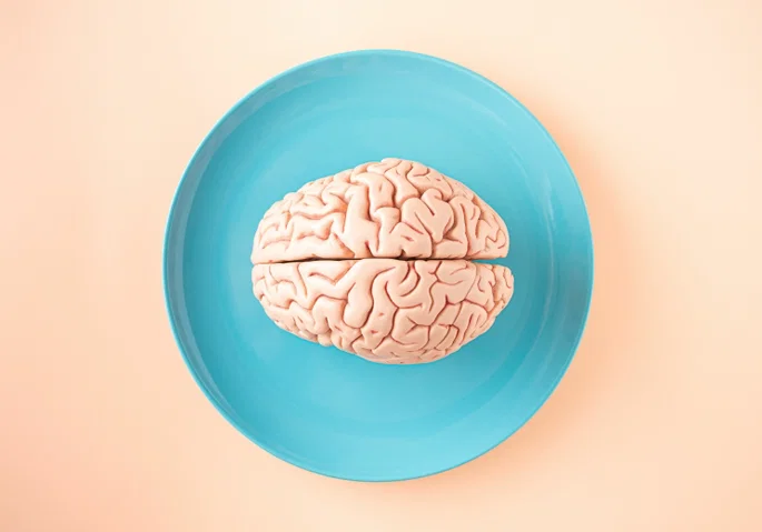 Cerebro
