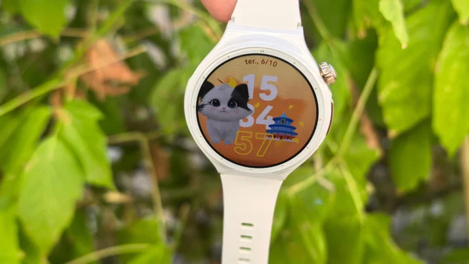 Reloj Huawei 6 Pro