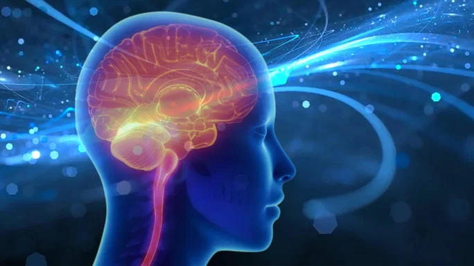 Cerebro