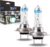 BOM12702 H7 White Pro Bulbs + 130% E-Mark, Set of 2