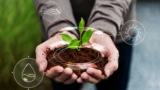 Transformación digital en el sector agrícola: Innovación y sostenibilidad