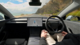 ¿Aprendiste a nadar? Video muestra a Tesla intentando meterse en un lago