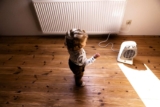 Calefactor eléctrico: la posición que calienta más y consume menos