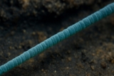 ¡Las nuevas bacterias conducen electricidad como un cable! Mirar