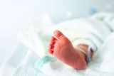 Consulta a las 11 pm para Sick Baby: Chaos in the NS en 2025