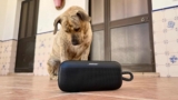 Bose Soundlink Plus: diseño robusto, fuerte y prueba de todo