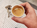 ¿Café por la tarde y sueño interrumpido? El tiempo que nadie respeta
