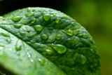 ¿Por qué el olor a lluvia es tan adictivo? La ciencia explica
