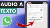 Cómo transcribir audio de WhatsApp |  Convertir audio a texto