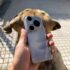 ¿Tu Xiaomi va lento? Activa esta función oculta para acelerar tu teléfono
