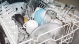 Después de todo, ¿puede el lavavajillas del lavavajillas gastar más?